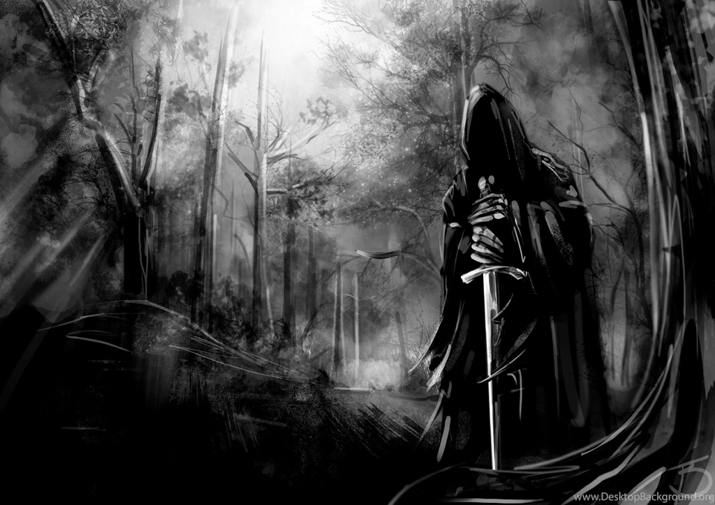 Most Download HD Wallpapers