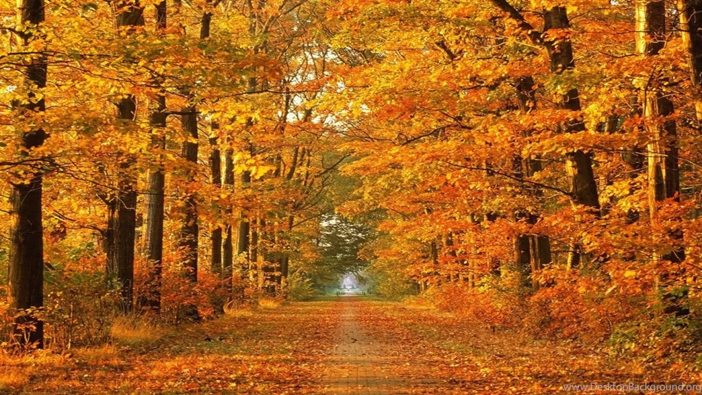 Free Fall Images