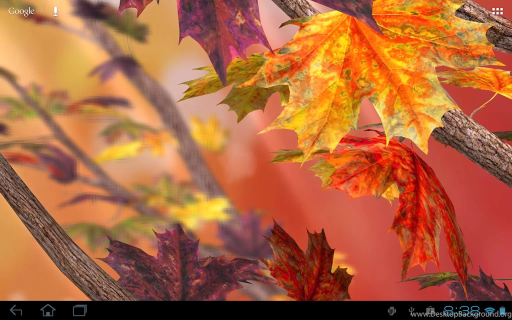 Autumn Tree Free Wallpapers Android Apps On Google Play