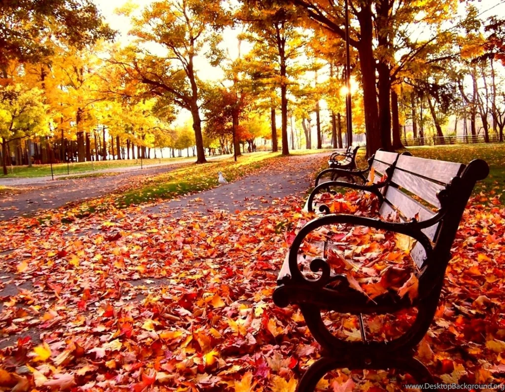 Free Fall Wallpapers Desktop