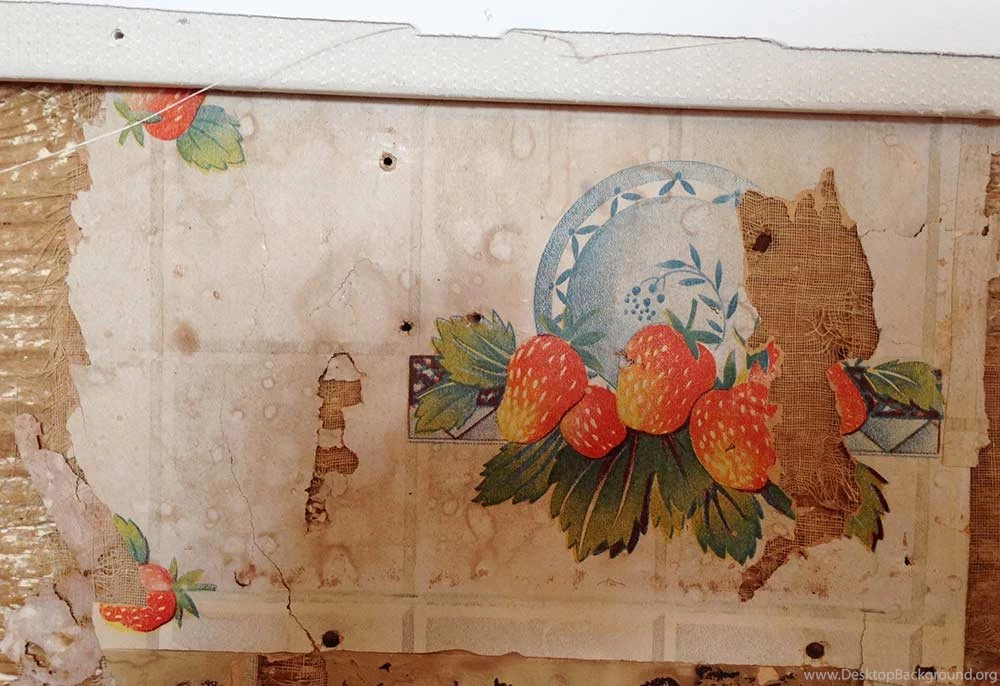 Elizabeth's Red And White Kitchen And Cath Kidston Cowboy ...