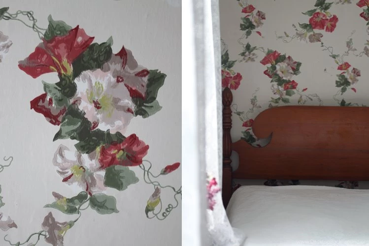 Amy Merrick: The Pink Room