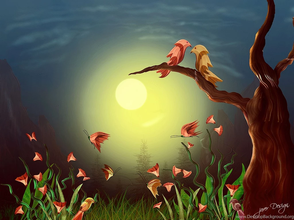 Picture Of Love Bird   Wallpapers HD Wide