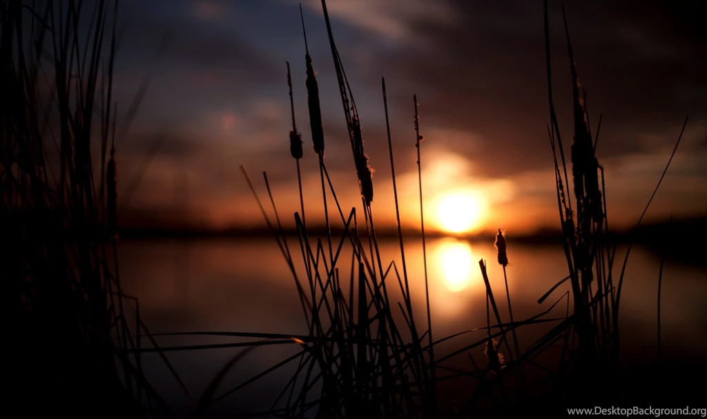 Landscape Wallpapers, Hd Desktop Images, Large Wallpapers, Windows ...