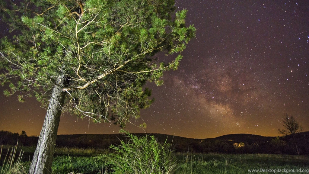 Download Wallpapers 3840x2160 Tree, Grass, Summer, Night, Stars 4K ...