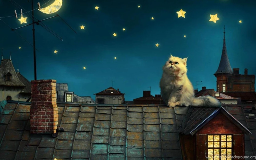 DREAM NIGHT WALLPAPER   (