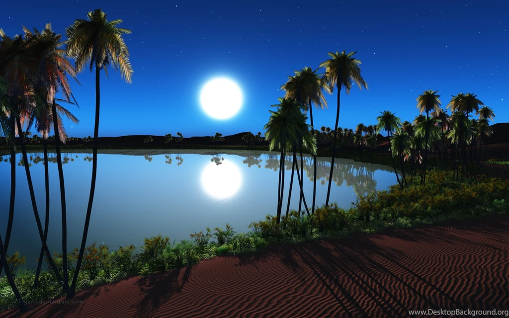 Desert Night, Summer, 1920x1200 HD Wallpapers And FREE Stock Photo