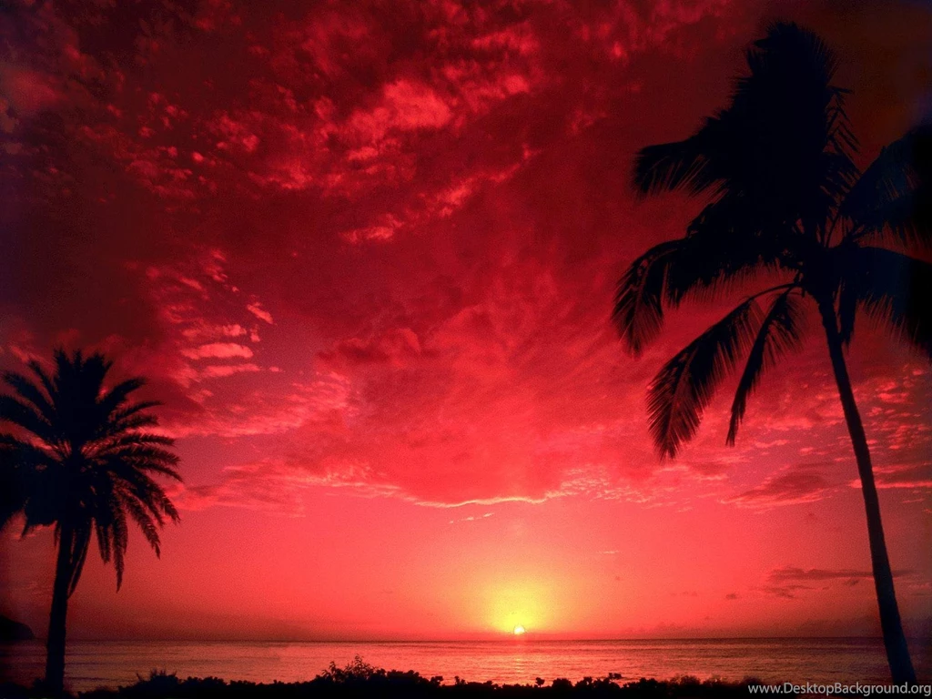 Red Sunset Cocoa Beach (