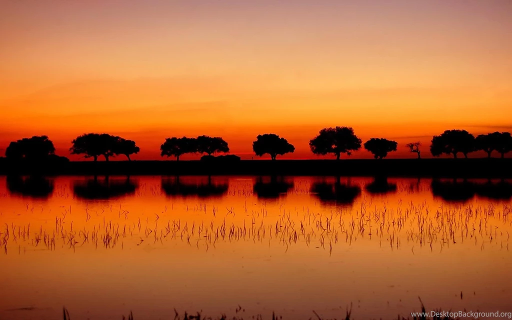 Red Sunset HD Desktop Wallpapers