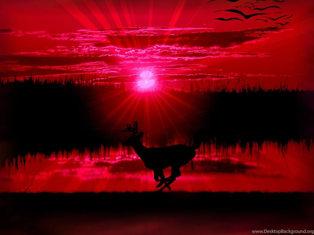 Wallpapers Red Sunset Free Screensavers 1024x768