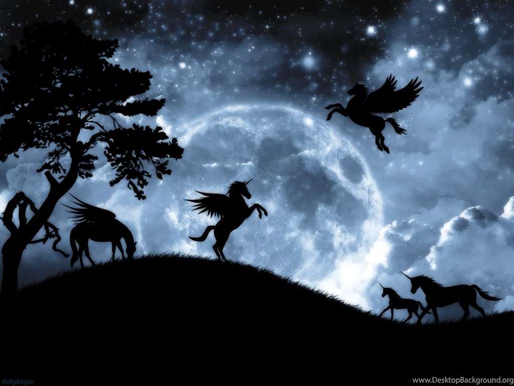 Wallpapers Unicorns And Fairies Moonlight Fanpop 1024x768 ...