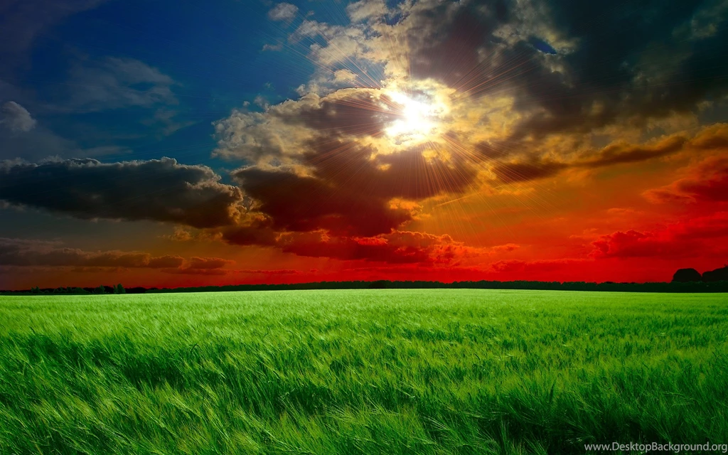 Red Sunset Fields Wallpapers