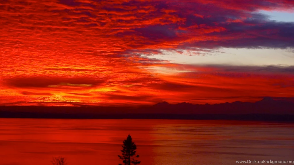 Red Yellow Blue Color Hd Wallpapers