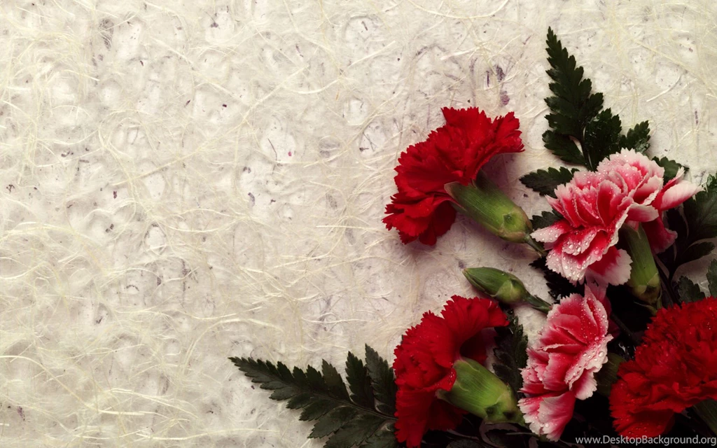 Flowers Wallpapers Hd