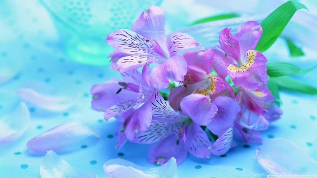 Light Purple Flowers HD Desktop Wallpapers : High Definition ...