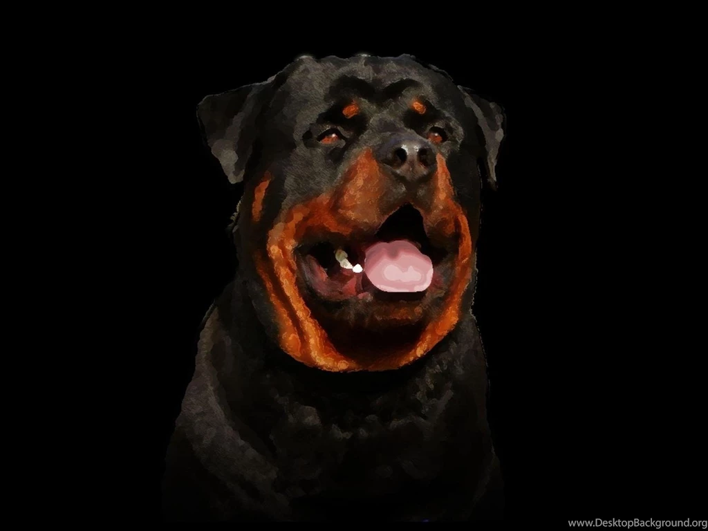 Painted Rottweiler Wu Tang Rottweilers Dogs Desktop Wallpapers ...