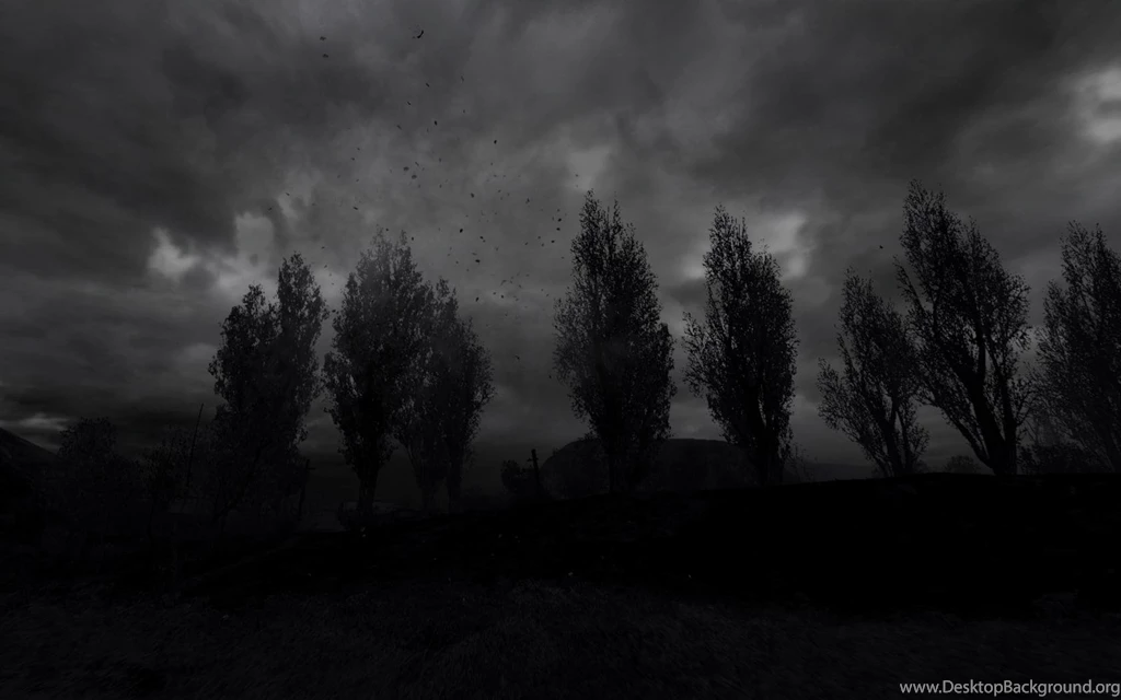 S.T.A.L.K.E.R. Computer Wallpapers, Desktop Backgrounds ...