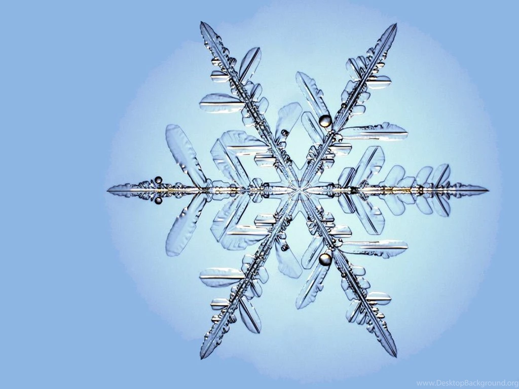 Desktop Wallpapers · Gallery · Miscellaneous · Snowflake