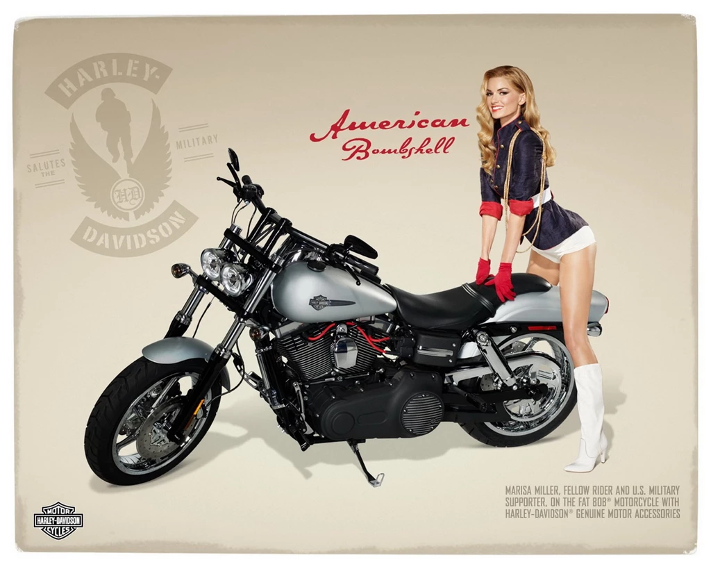 Harley Davidson Bikes Wallpapers