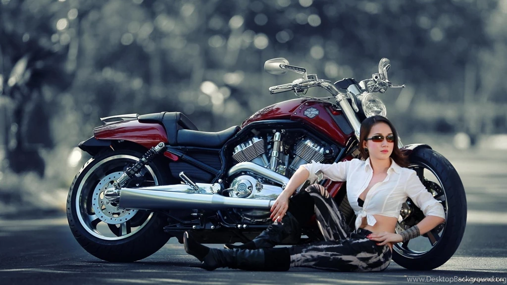 Harley Davidson And Girl