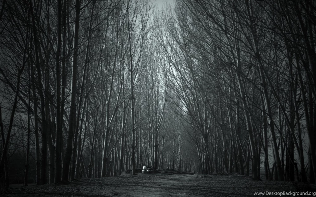 Macbook Pro Wallpapers Collection (43+)