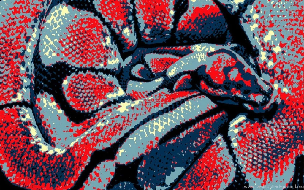 Spider Ball Python Wallpapers