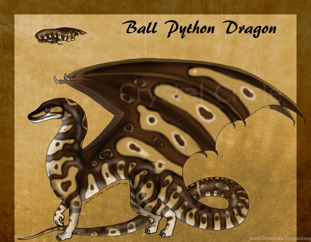 Ball Python Dragon 2 Closed! By CrystalCircle On DeviantArt