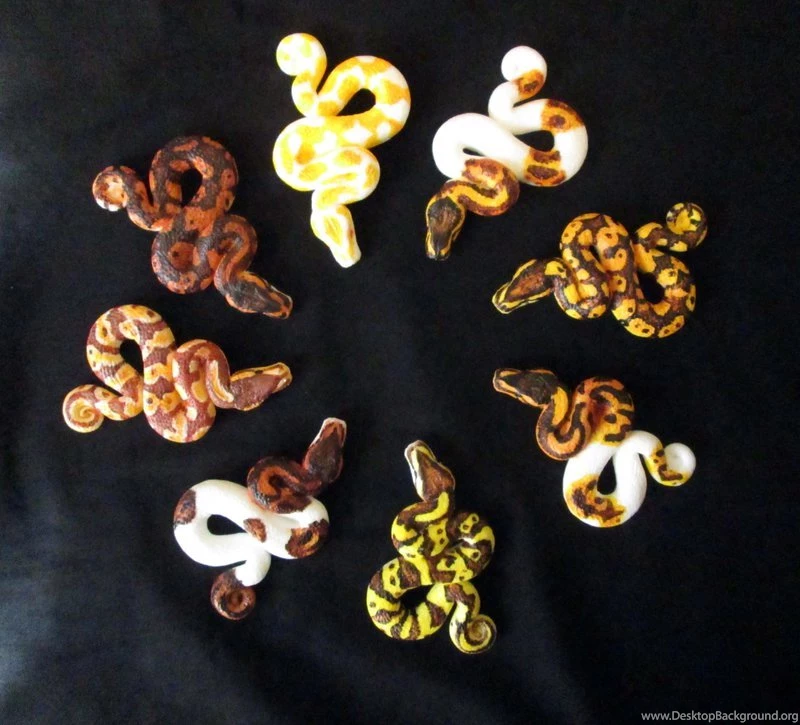 Ballpython DeviantArt