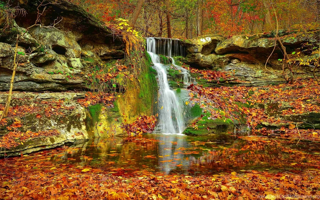Waterfall Autumn Lovely Stream Fall Nature Leaves Beautiful Rocks ...