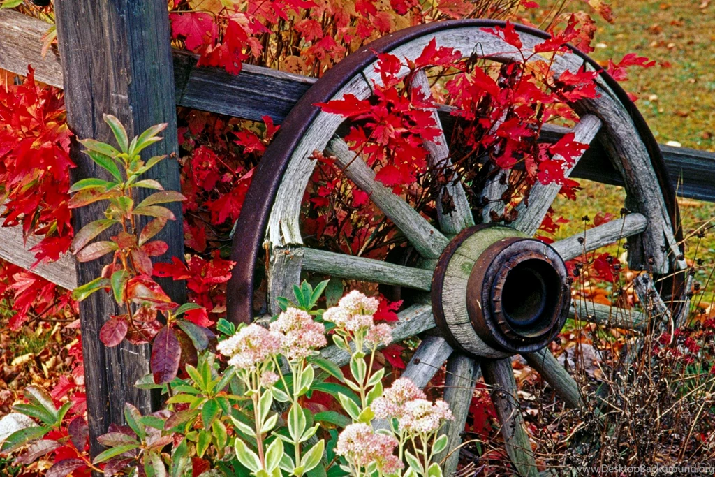 Webshots Wallpapers Collection « Day Recipe