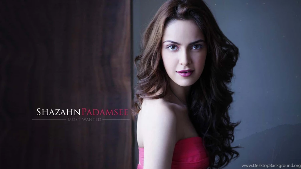 Shazahn Padamsee Beautiful Actress HD Wallpapers