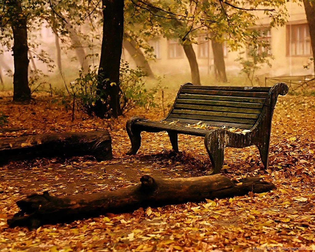 Cool Autumn Wallpapers HD For Desktop . Best High Resolution ...
