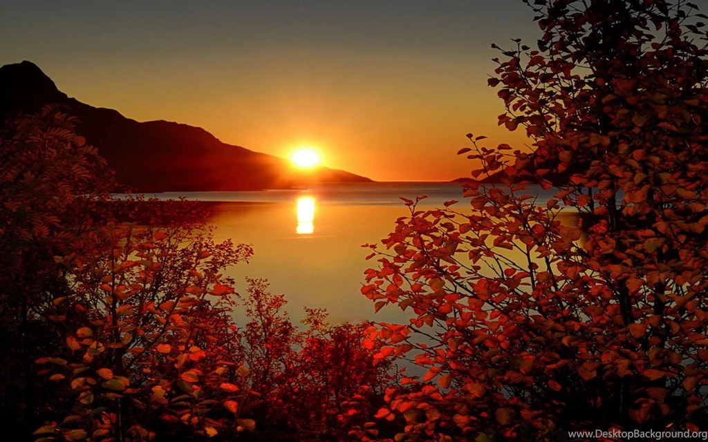 Best Autumn Wallpapers