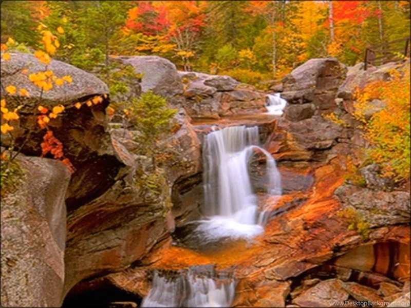 Awesome Autumn Autumn