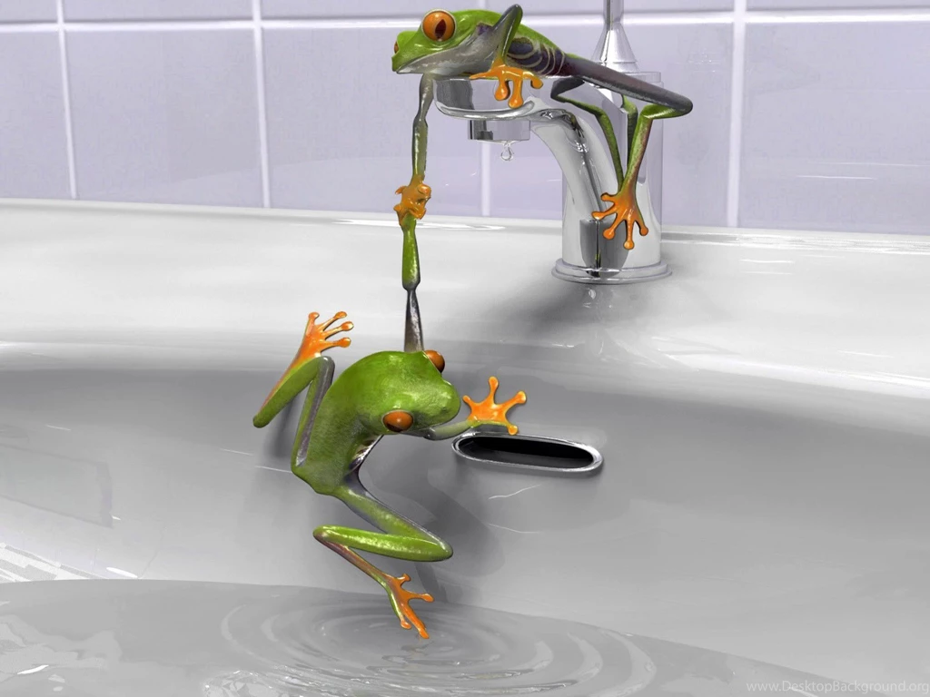 Free HQ Frog Wallpapers Free HQ Wallpapers