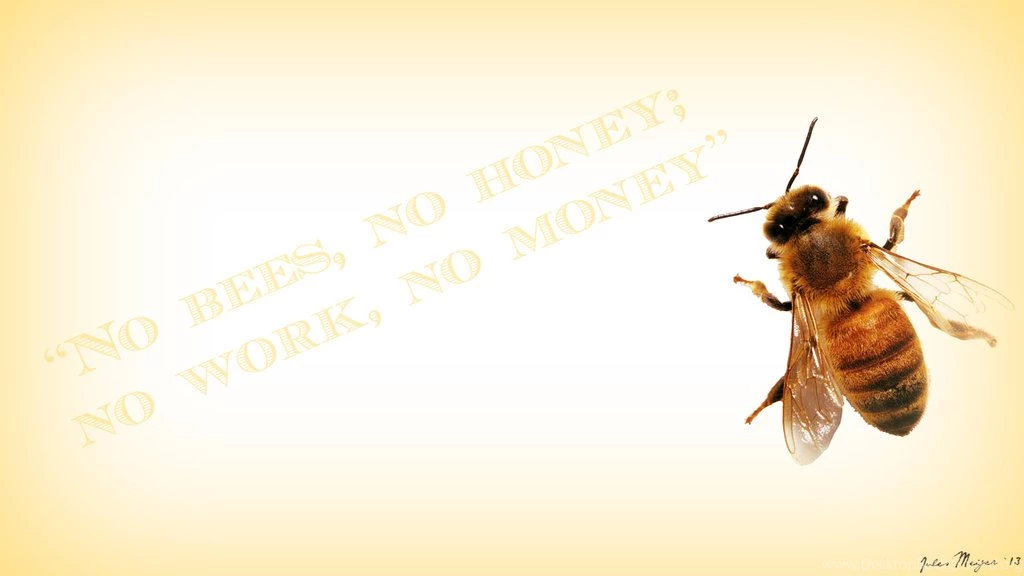 Bee Wallpapers By Julesmeijer On DeviantArt
