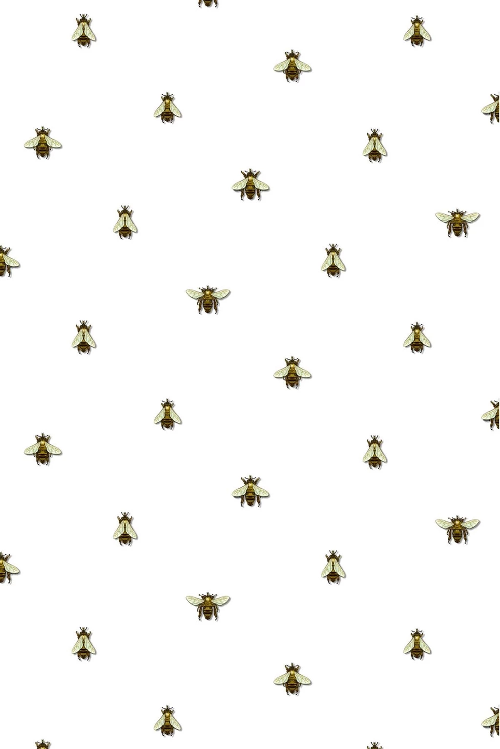 Timorous Beasties Wallcoverings Wild Honey Bee Spot