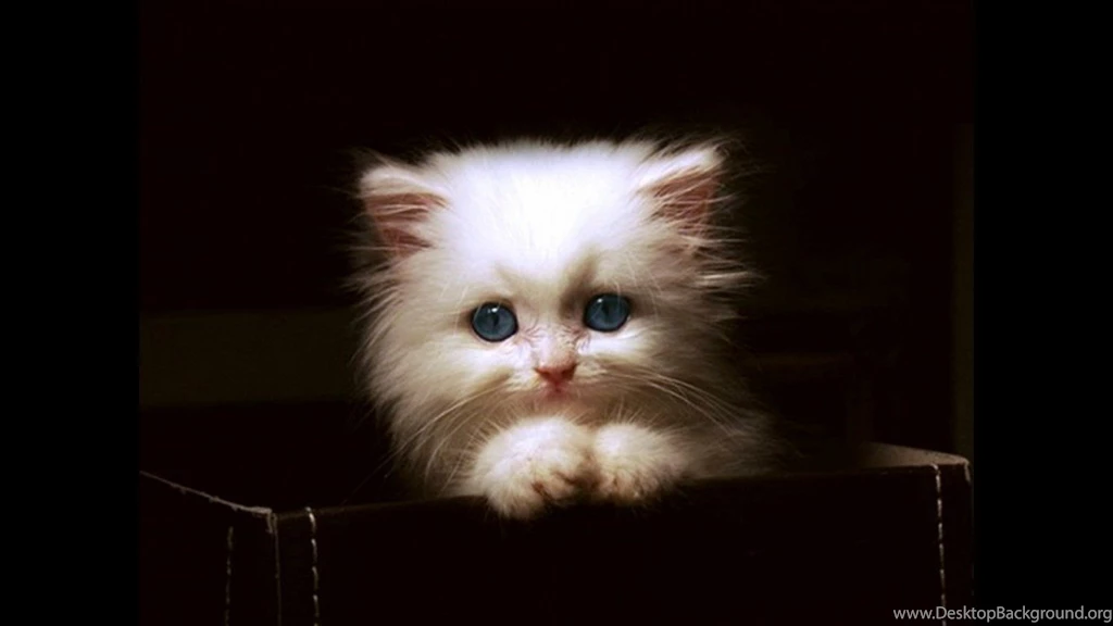 Wallpapers Cool Facebook Covers This Use For Cover Edit 1366x768 ...