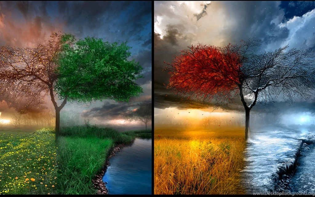 Free Seasons Wallpapers And Backgrounds ~ Toptenpack.com