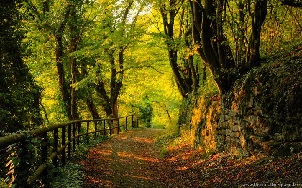 Autumn Season Wallpapers   5461