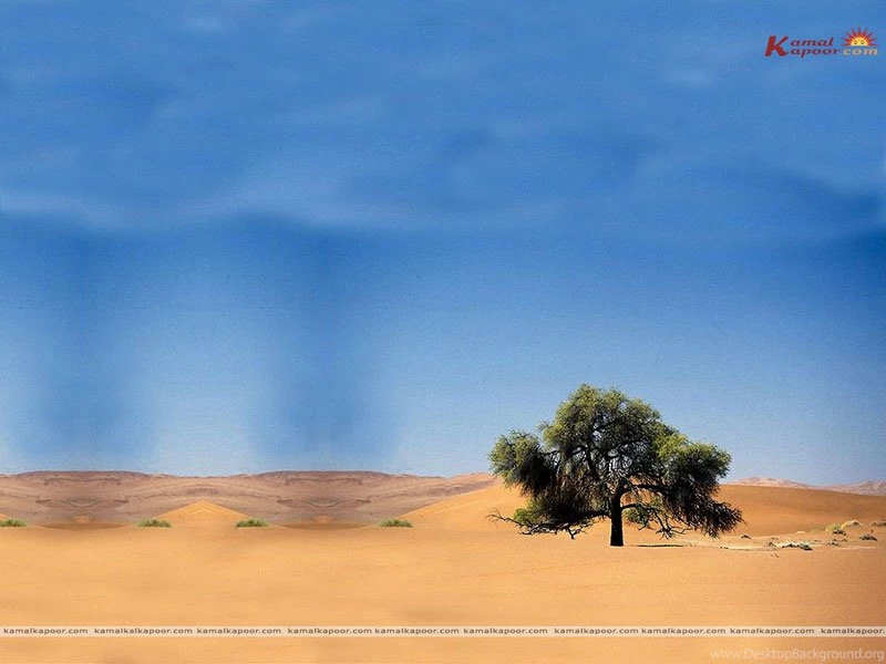 Seasons Wallpaper, Different Sizes Seasons Wallpapers, Free ...