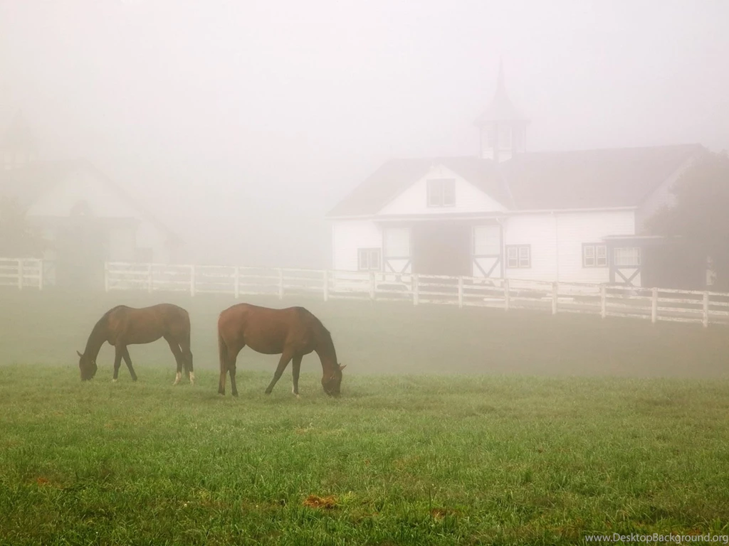 Kentucky Horse Farms Wallpapers