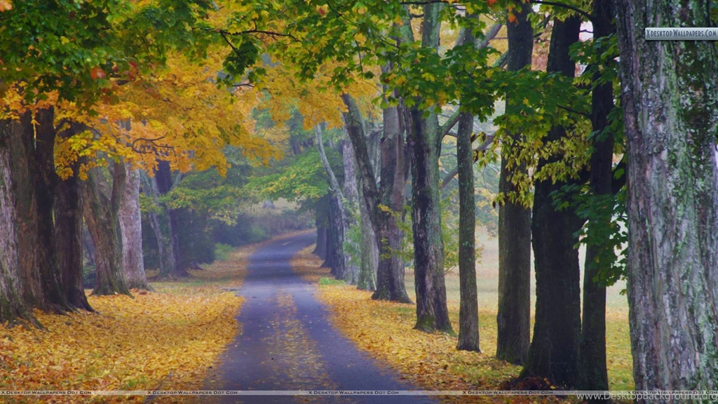 Top Fall Wallpaper Images From Ky Wallpapers