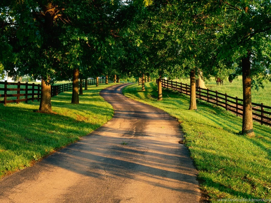 Kentucky Horse Farms Wallpapers