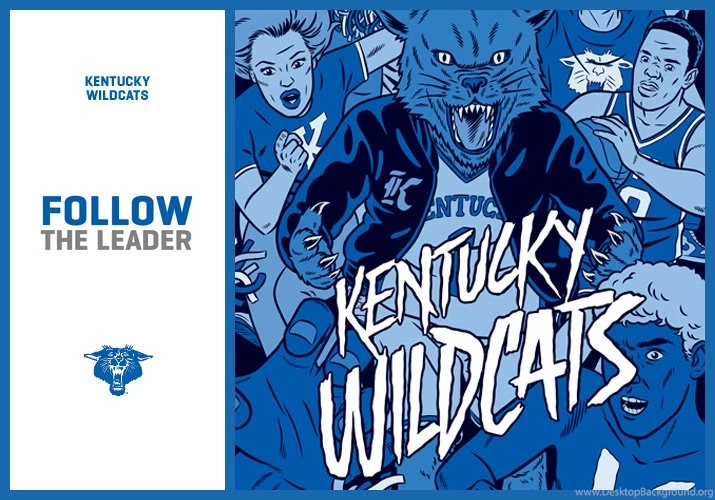 Champs Sports Kentucky Wildcats
