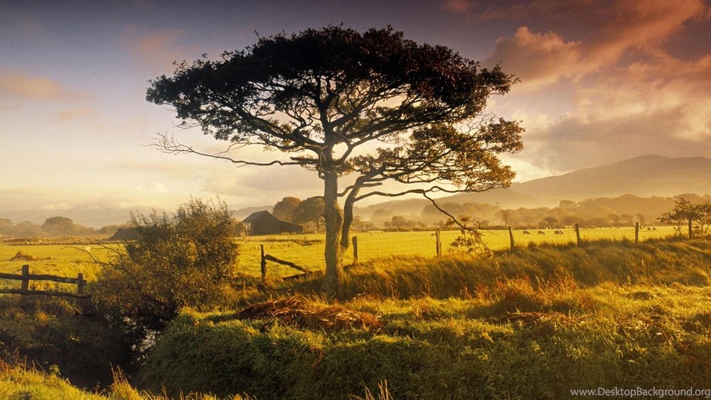 Farms Near Harlech North Wales High Quality Wallpapers, HQ ...