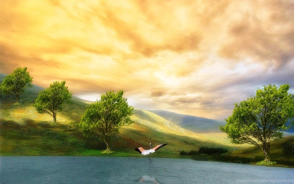 Edward Kenuey, Swansea, Wales >> HD Wallpaper, Get It Now!