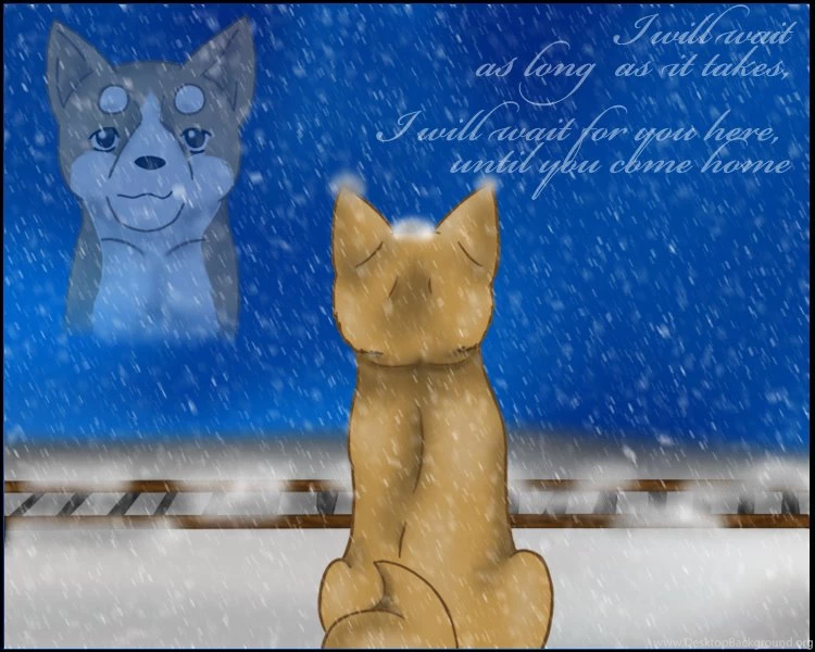 Hachiko WIP By Crimsonwolfumi On DeviantArt