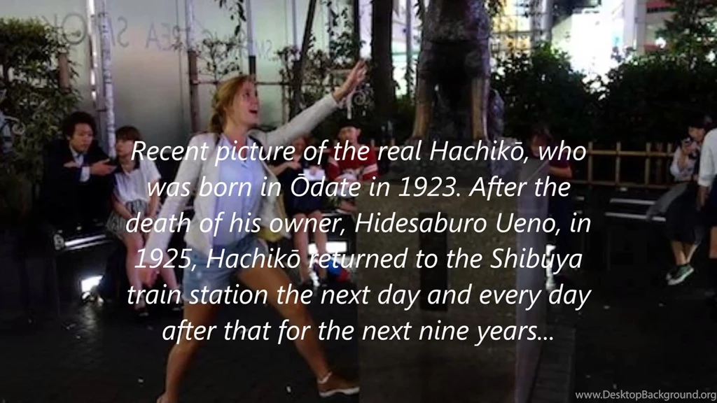 秋田犬 Japanese "Hachi" & "Hachiko" Pronounced By Akita Uni 'Sita ...