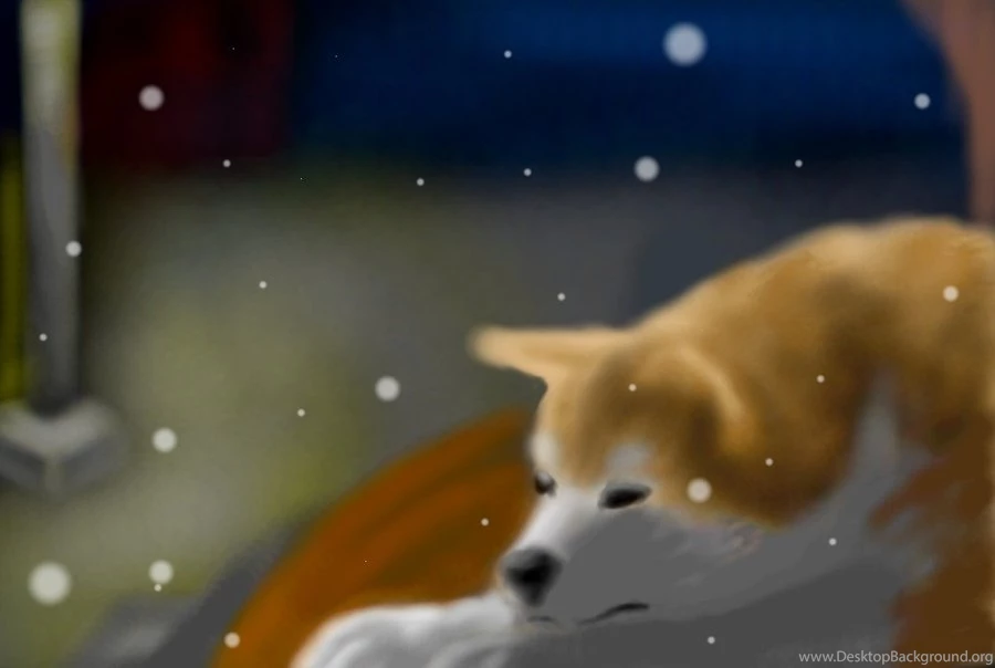 Hachiko By ArtemisA wolf On DeviantArt